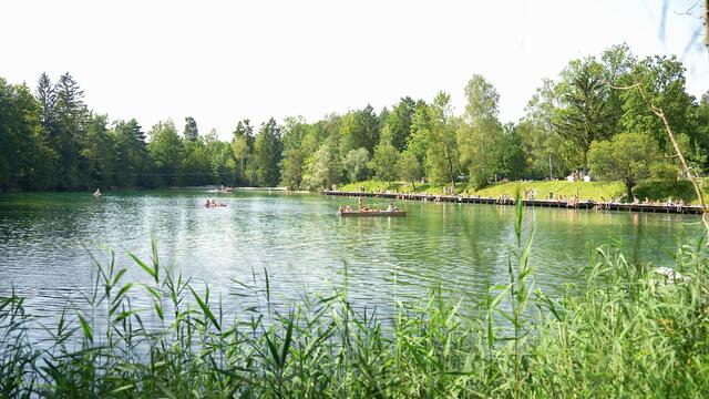 Foto: Stefan Schubert