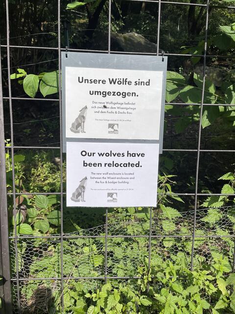 Eröffnung des neuen Wolfgeheges im Alpenzoo | Foto: Martina Obertimpfler