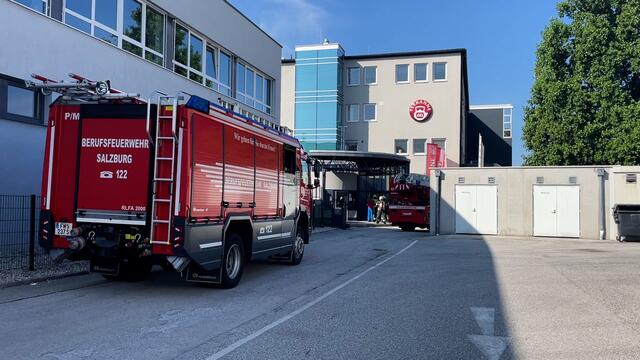 Foto: Stefan Schubert