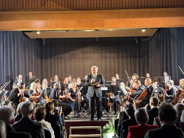 Das Symphonische Orchester Leibnitz - kurz SOL - feiert heuer das 40-jährige Bestehen. | Foto: Brigitte Gady