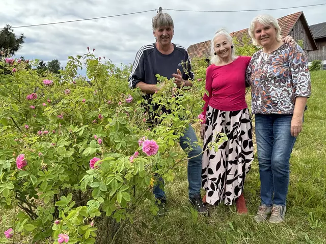 Im duftenden Rosenfeld in Kitzelsdorf: Gerhard Kleindienst mit Erika Swoboda und Johanna Kleindienst