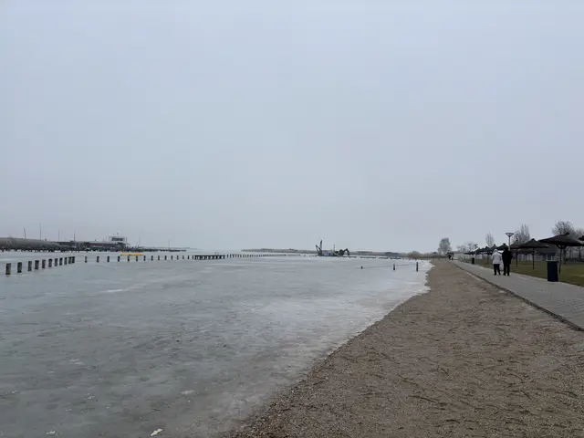 Bis auf einige Spaziergehende war es gespenstig still am Dienstagnachmittag in der Ruster Bucht. | Foto: Jennifer Flechl / MeinBezirk