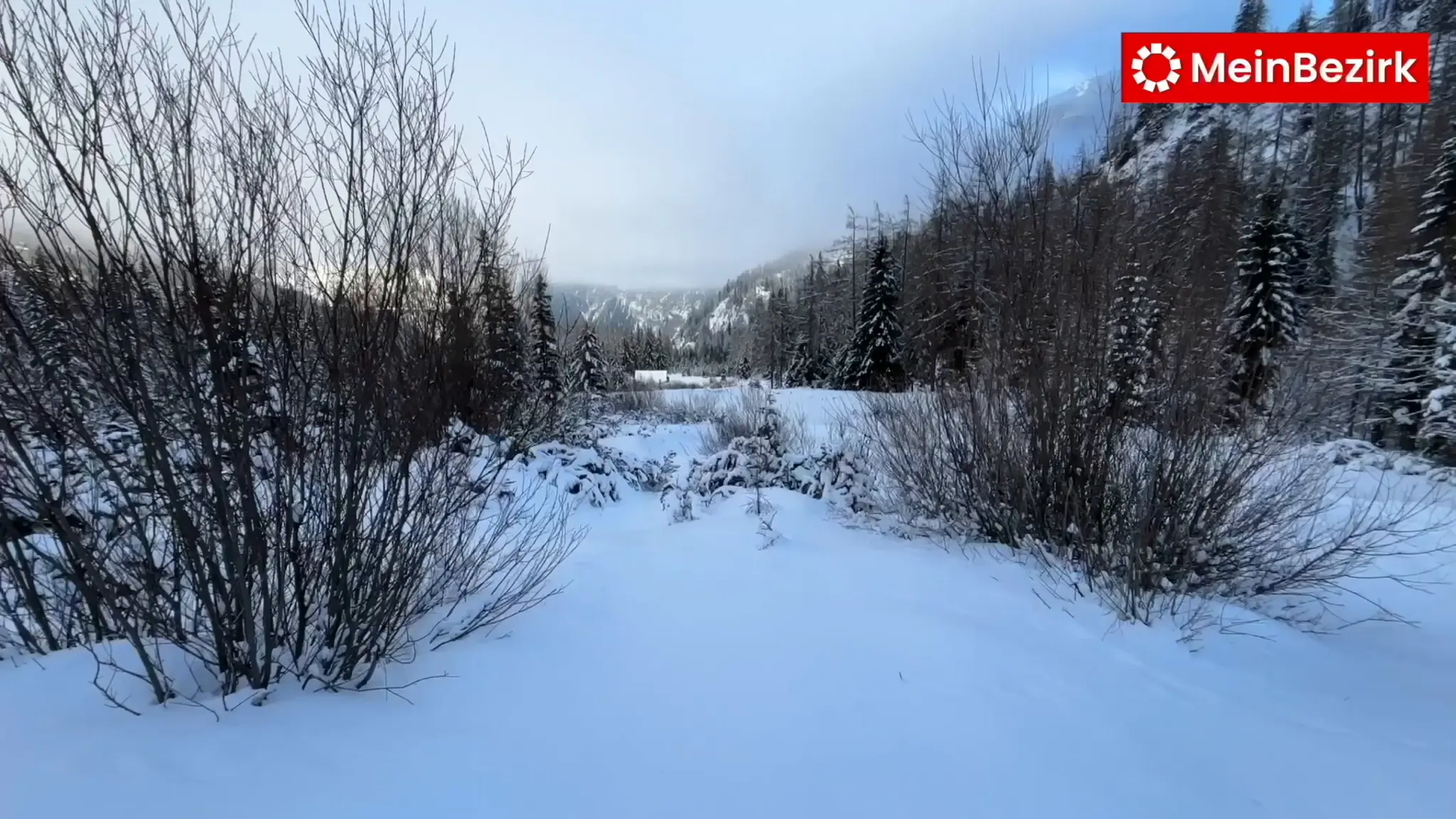 Tragöß-St. Katharein: Spektakuläre Winter-Gebietsübung der Bergrettung ...