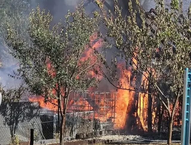 Die Flammen drohten von einem Schuppen auf ein angrenzendes Waldstück überzugreifen.  | Foto: Feuerwehr Neuberg