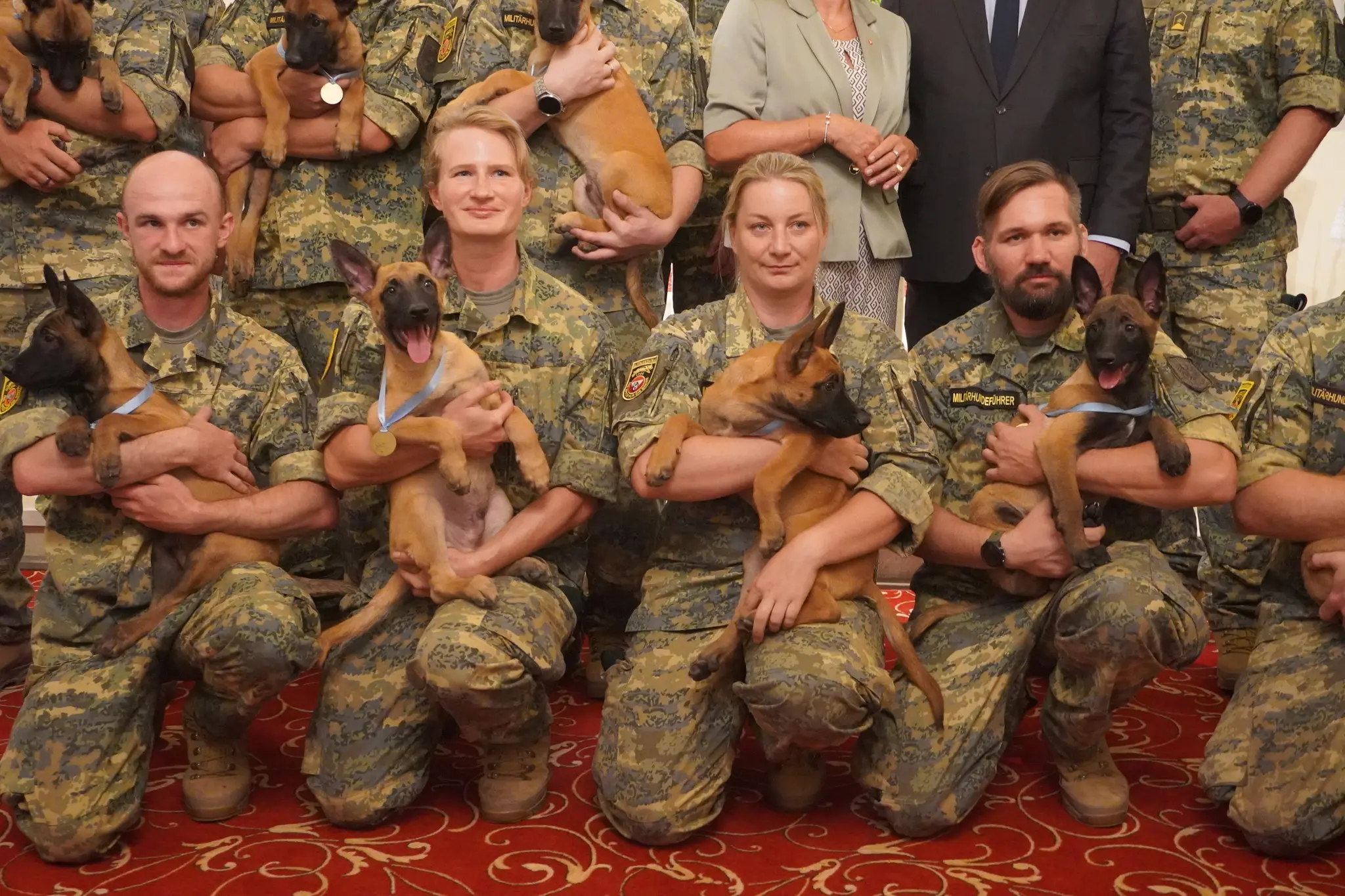 Trude, Taiga, Thorin & Co.: Eleven German Shepherd puppies start their ...