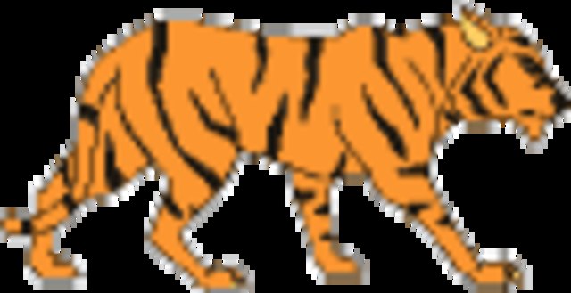 Volleyballverein Traismauer 'Wild Tigers'