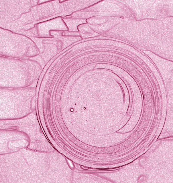 Renate Spreizer-Neuhold