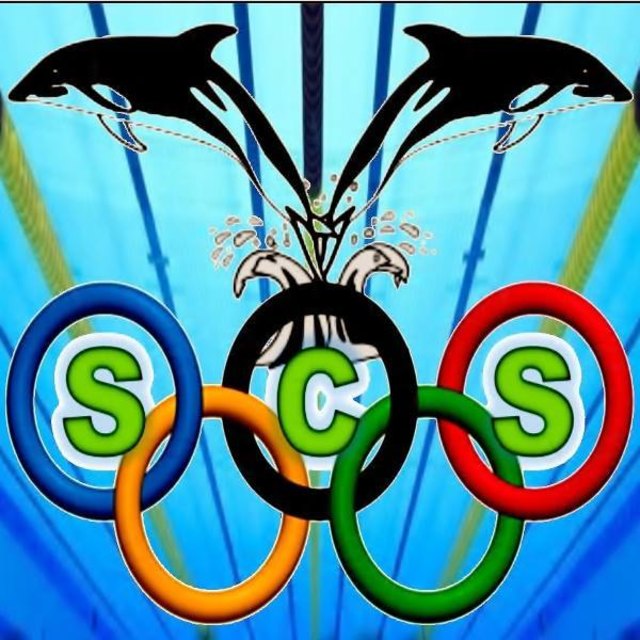 ASKÖ Schwimmclub Steyr