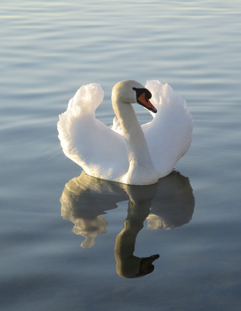 Sibylle Emilie Tobler