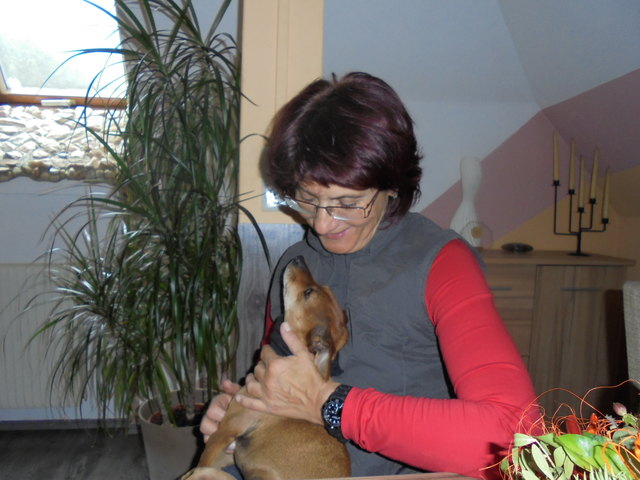 Ilse Zefferer